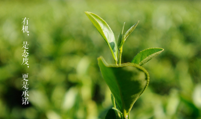 瀏園春品牌logo與食品包裝設(shè)計(jì)欣賞(圖3)