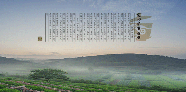 蒙山龍霧食品包裝設(shè)計(jì)欣賞(圖2)