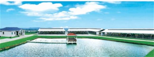 艾森牛奶 Asi艾森食品包裝設(shè)計(jì)欣賞(圖4)