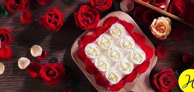 好利來Holiland食品包裝設(shè)計欣賞(圖3)