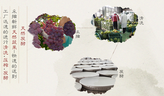 大漢 大漢酵素食品包裝設計欣賞(圖3)