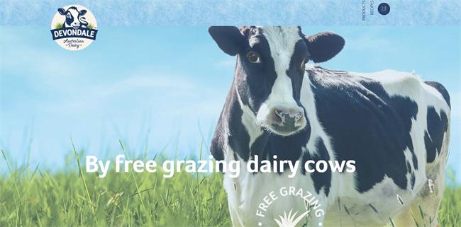 德運(yùn)Devondale食品包裝設(shè)計(jì)欣賞(圖3)