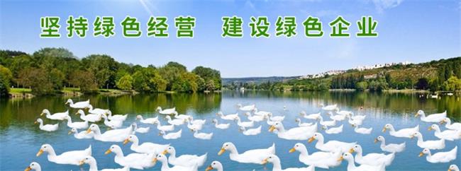 忠意食品 忠意食品食品包裝設計欣賞(圖2)