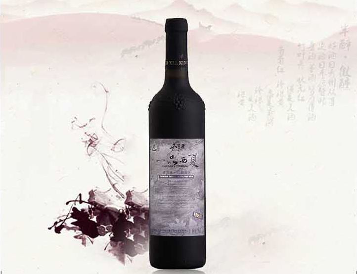 西夏王食品包裝設(shè)計(jì)欣賞(圖2)